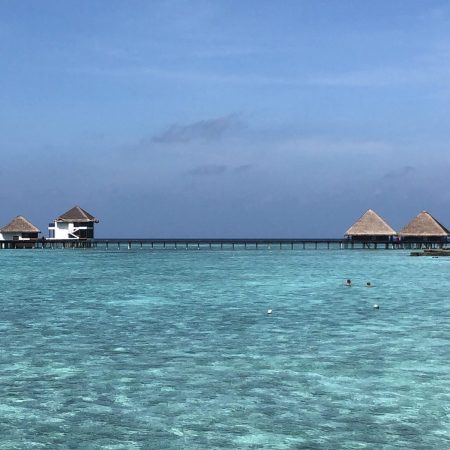 Maldives-card-e1737984924648.jpg