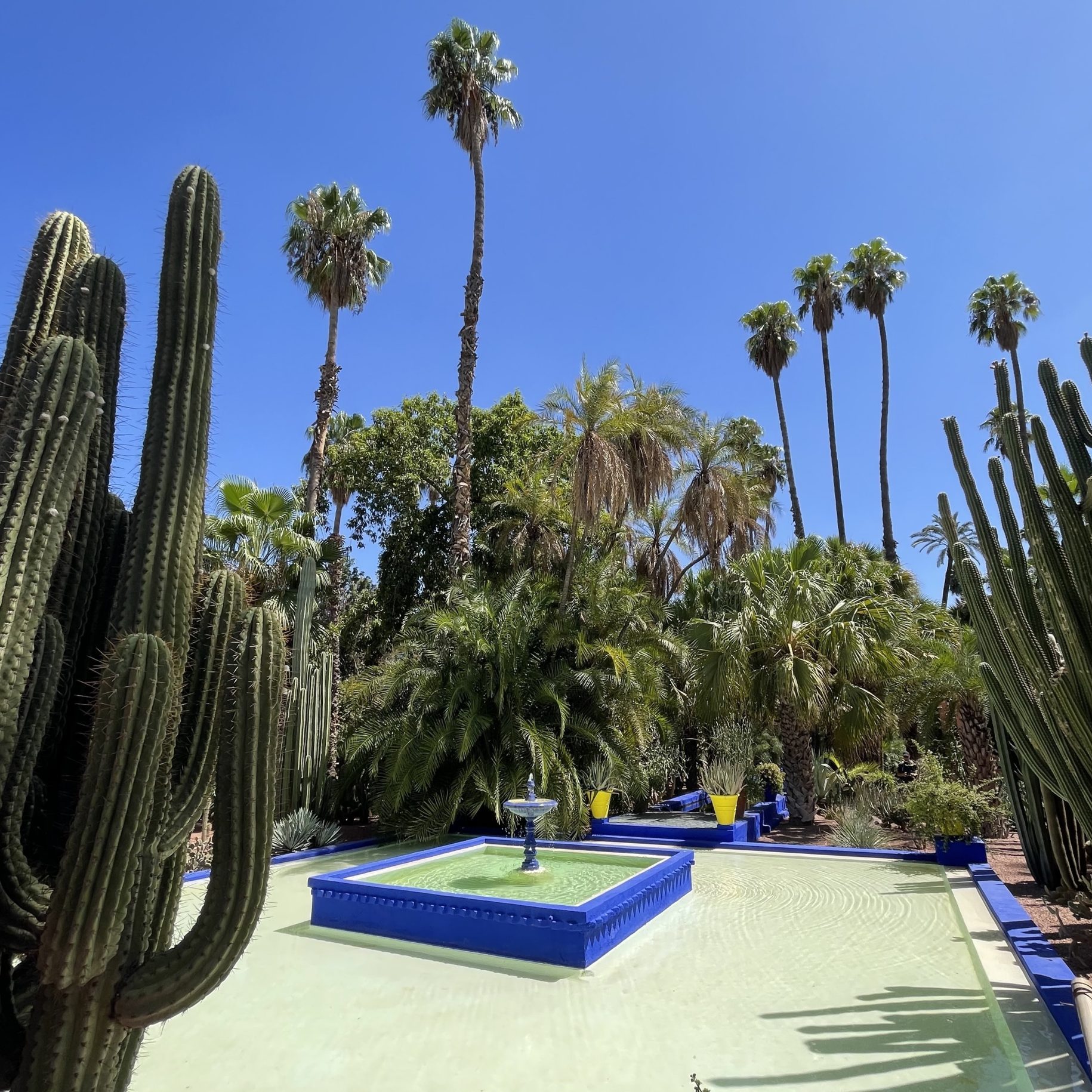 Jardins-majorelle-card-e1738098348452.jpg Jardins-majorelle-card-e1738098348452.jpg